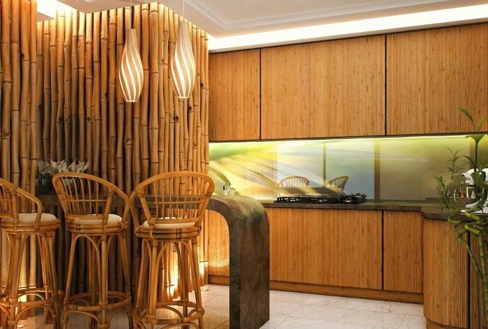 Bamboo house interior design