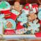 Cookie kits decorating whole family kit diy